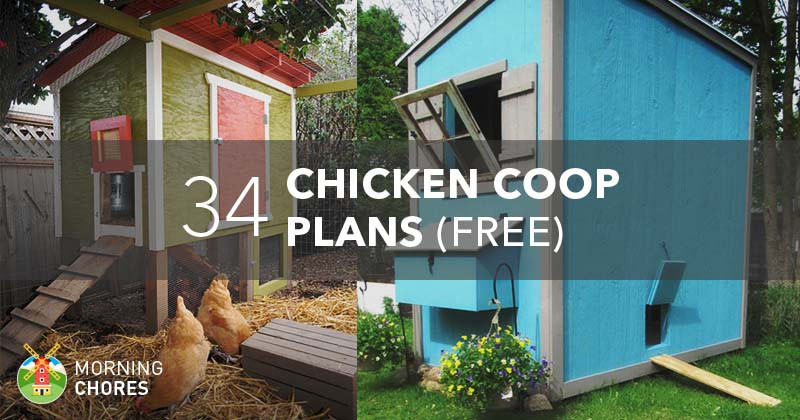 DIY Chicken Coops Plans Free
 34 DIY Chicken Coop Plans that are Easy to Build Free