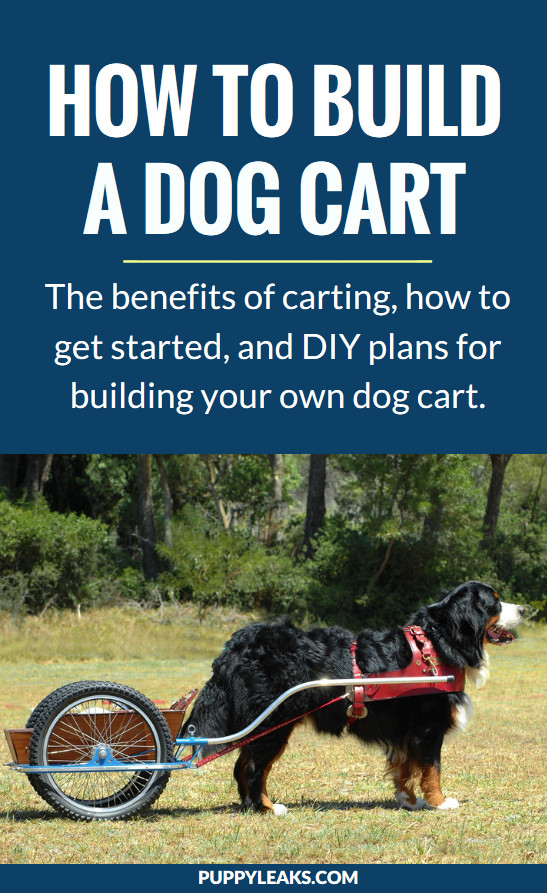 DIY Dog Cart
 Why Not Build a Dog Cart Puppy Leaks