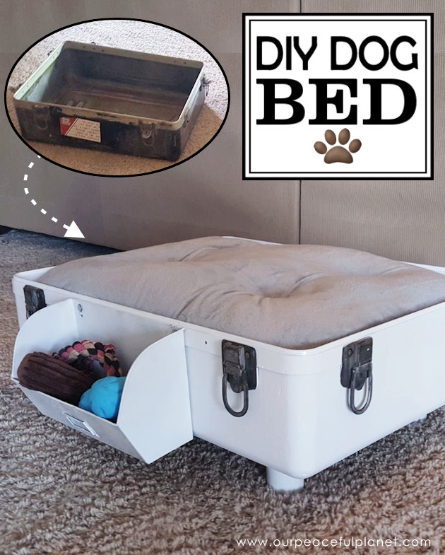 DIY Dog Cot
 How to Make a DIY Dog Bed from a Suitcase