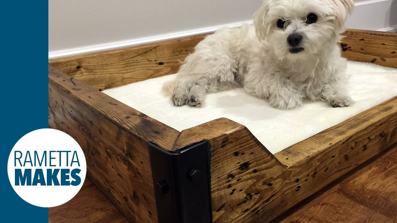DIY Dog Cot
 How to Build a Custom Dog Bed DIY