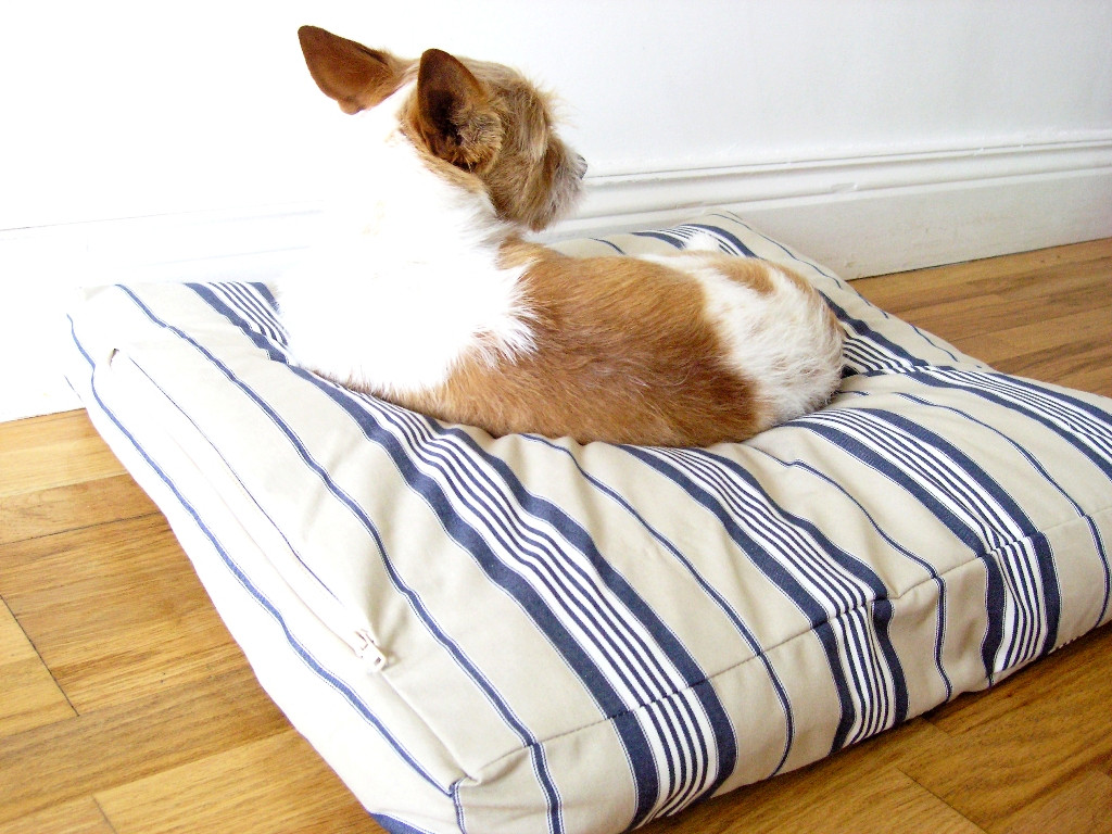 DIY Dog Cot
 made DIY Dog Bed
