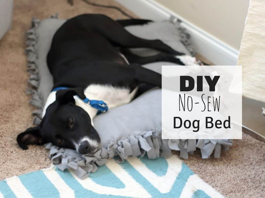 DIY Dog Cot
 DIY No Sew Dog Bed For Under $10 Saving You Dinero