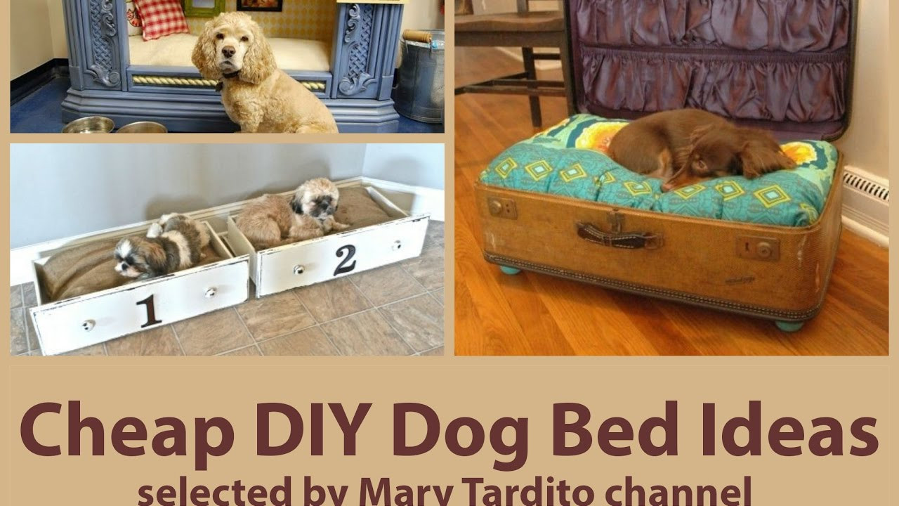 DIY Dog Furniture
 Cheap DIY Dog Bed Ideas
