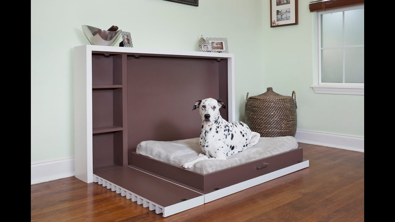 DIY Dog Furniture
 Murphy Dog Bed Demonstration