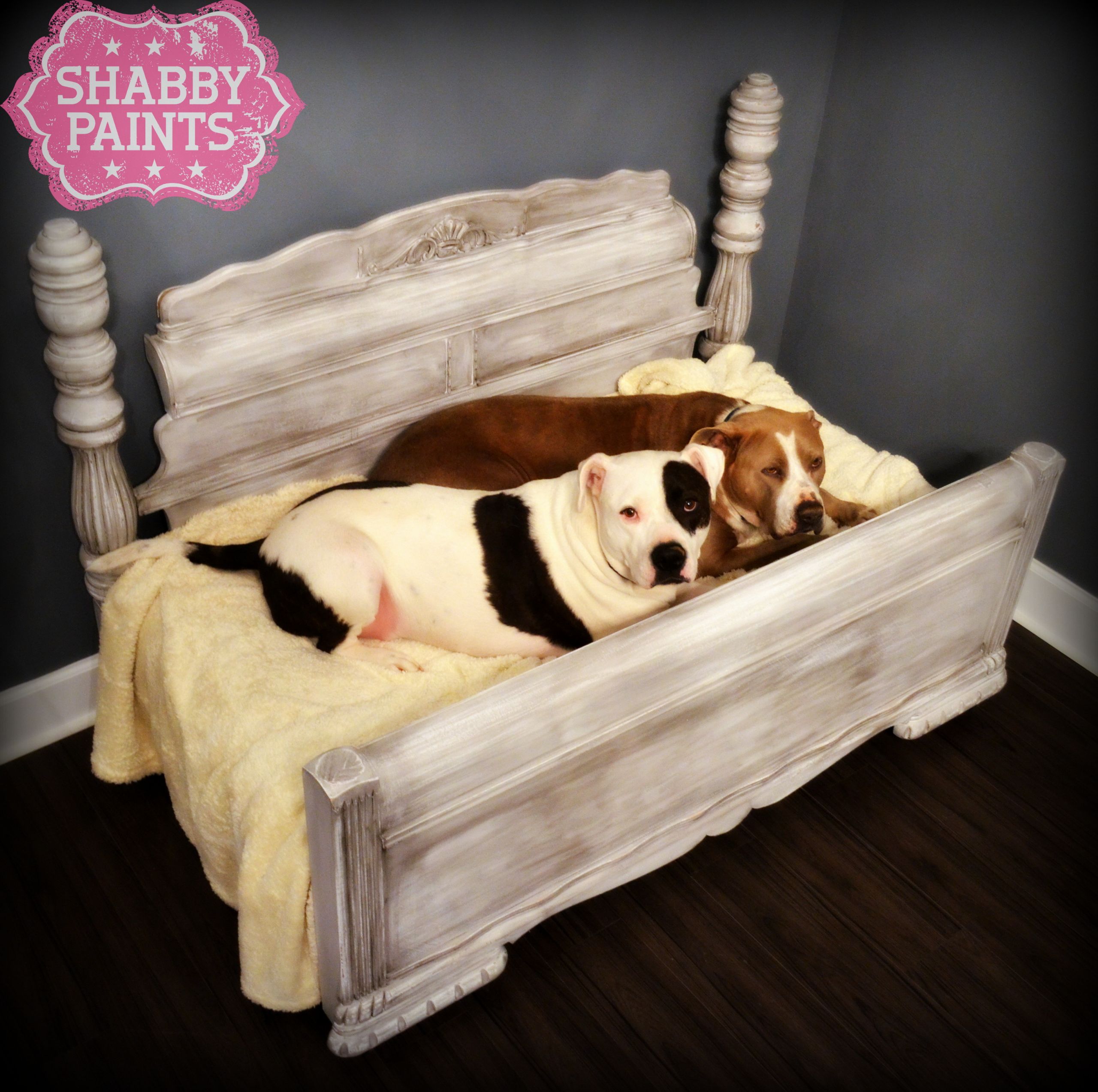 DIY Dog Furniture
 Upcycled Pet Beds Transformed with Shabby Paints Shabby