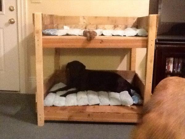 DIY Dog Furniture
 DIY Pet Bunk Bed Plans to Build Dog Bed