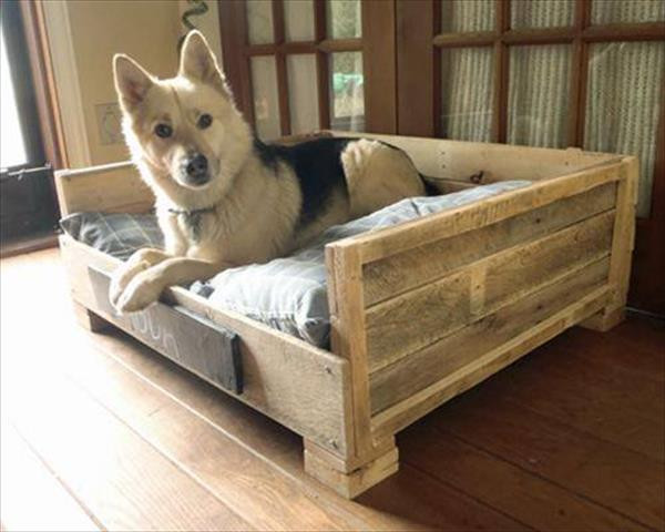 DIY Dog Furniture
 8 DIY Pallet Beds For Dogs – iHeartDogs