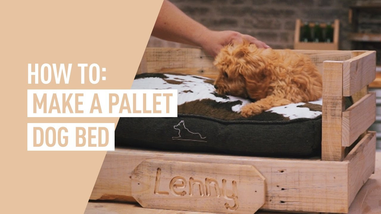 DIY Dog Furniture
 DIY Pallet Dog Bed Ozito