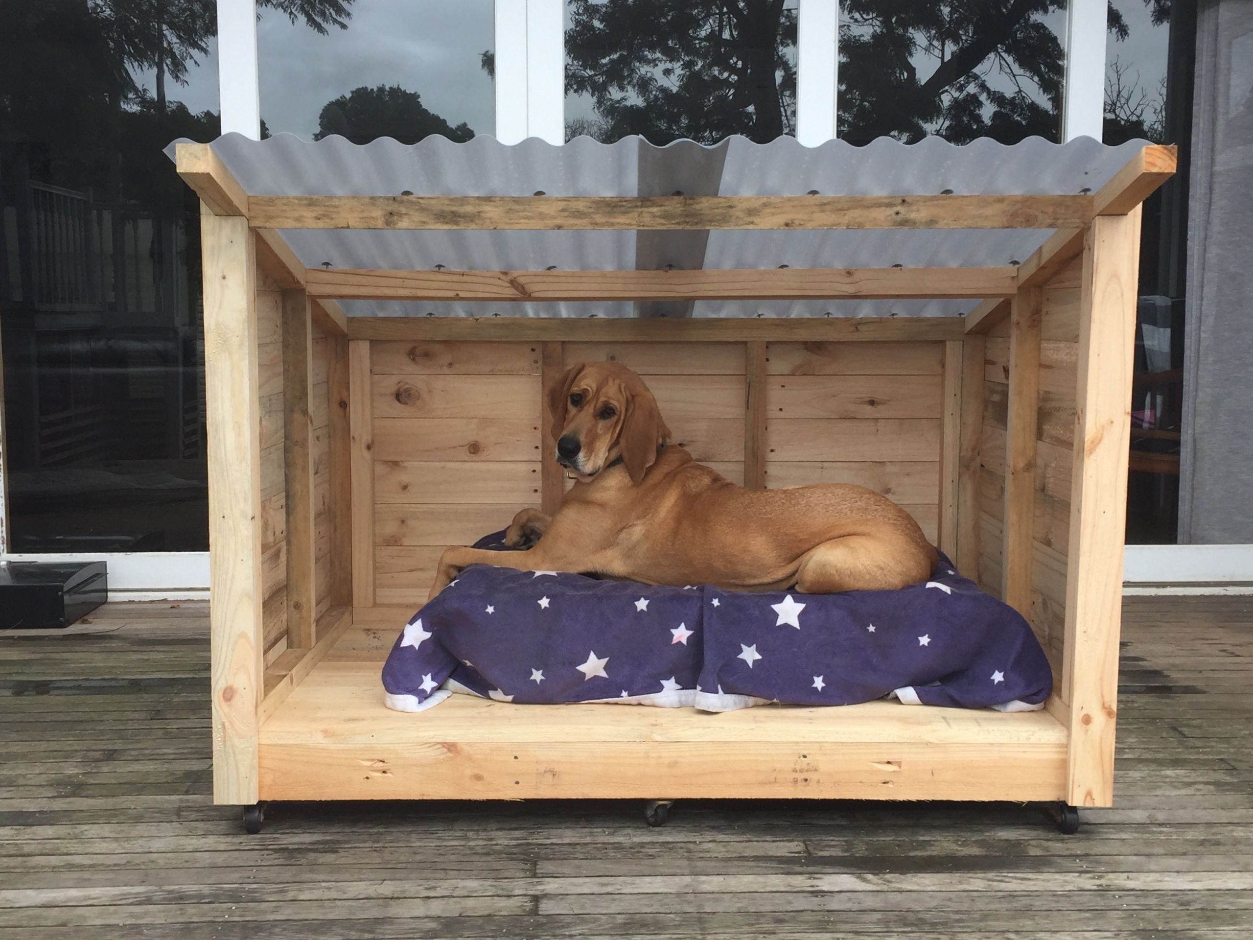 DIY Dog Pen Outdoor
 Roomy Pallet Dog Kennel Dog Kennels