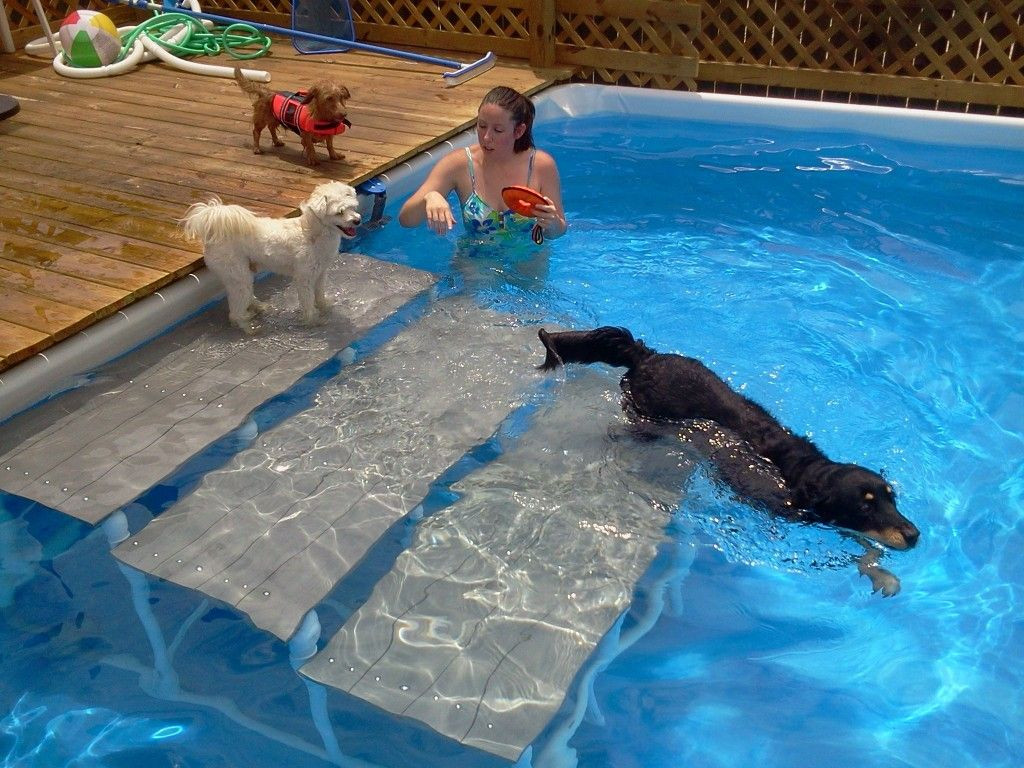 The top 22 Ideas About Diy Dog Ramp for Above Ground Pool – Home