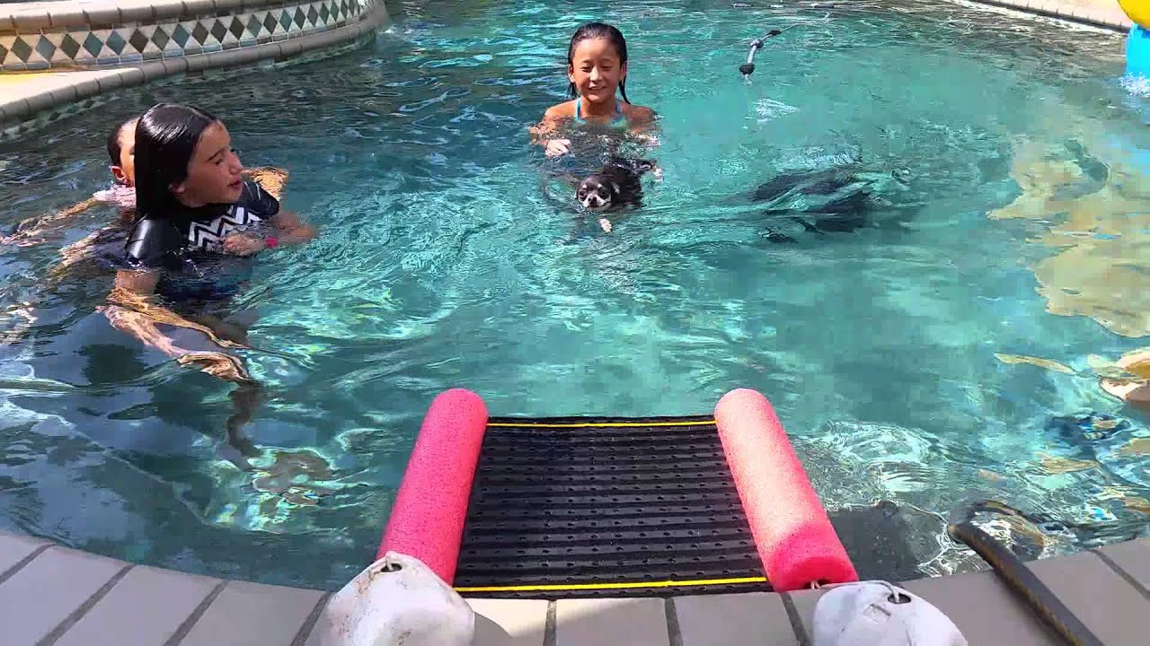 DIY Dog Ramp For Above Ground Pool
 Blue s custom made small pool pet ramp