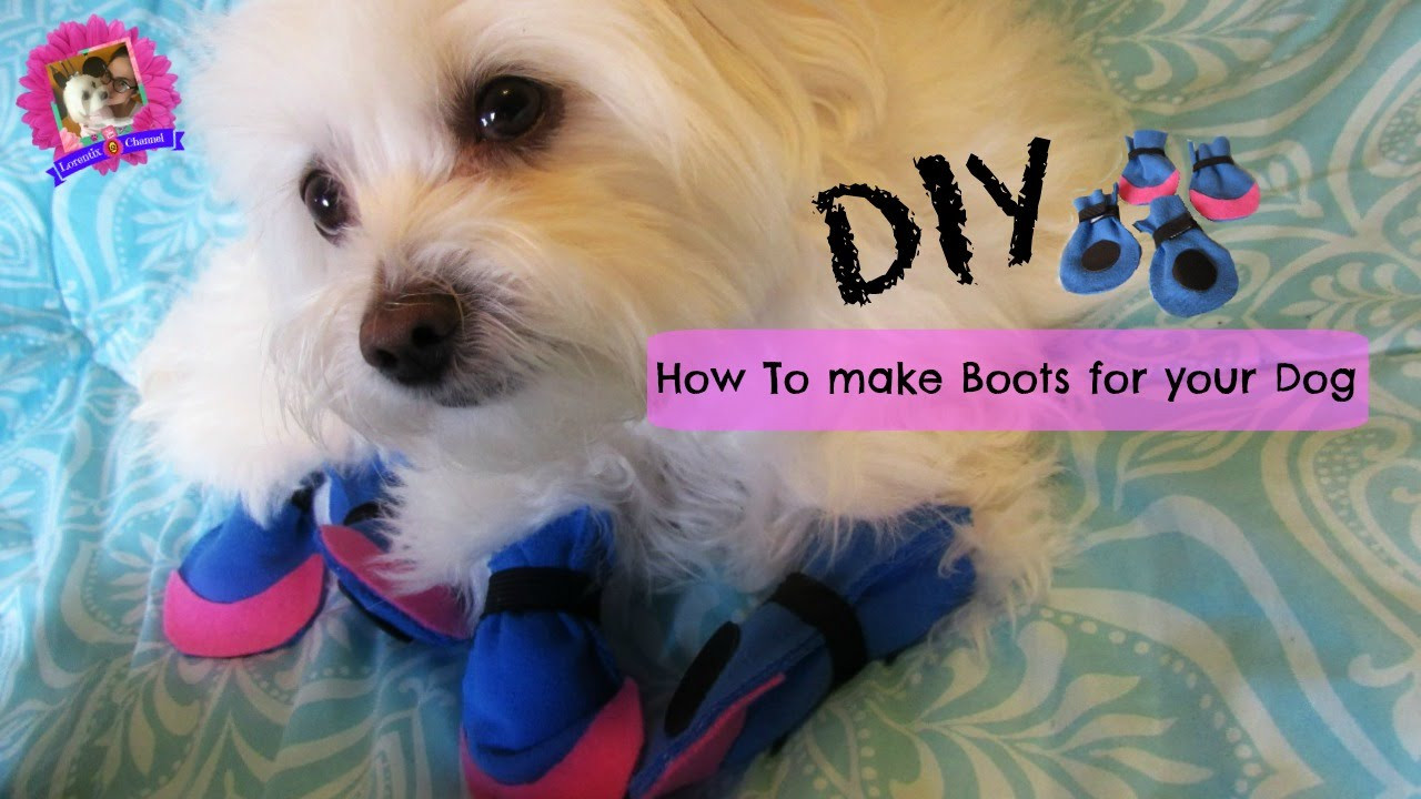 DIY Dog Shoes
 How to make boots for dogs DIY NO SEWING Coton de
