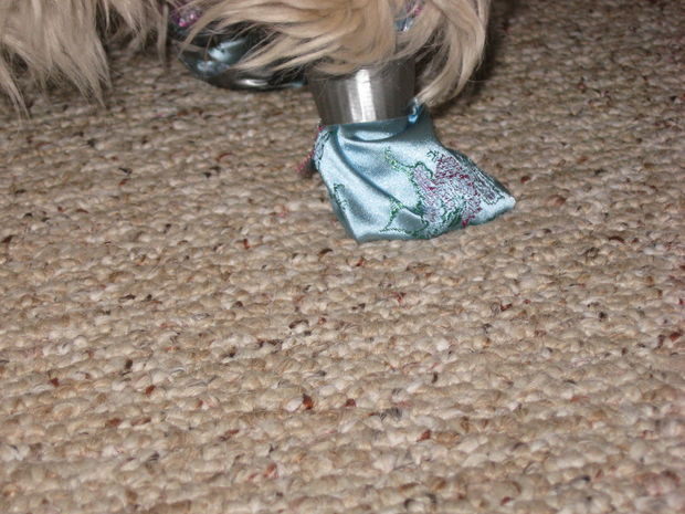 DIY Dog Shoes
 DIY cool and cheap little dog sneakers or boots from duct tape