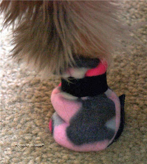 DIY Dog Shoes
 Condo Blues How to Make Dog Boots