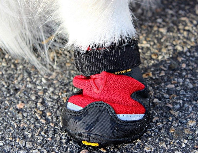 DIY Dog Shoes
 How to Make Dog Booties Diy Dog Booties Project