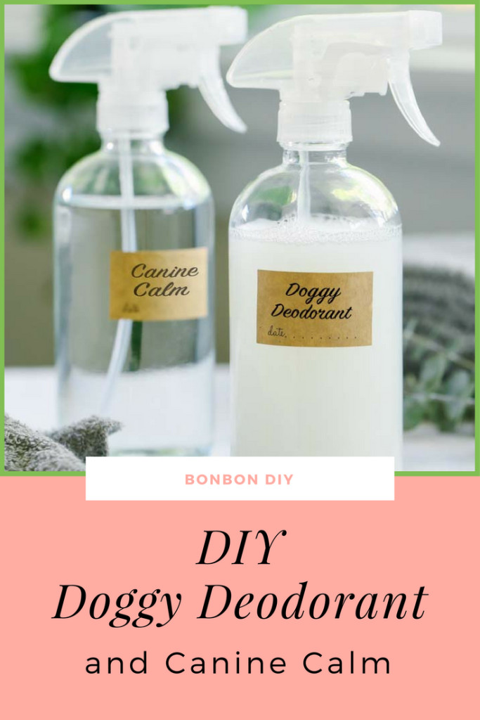 DIY Dog Spray
 DIY Dog Odor spray deodorant canine calm 2