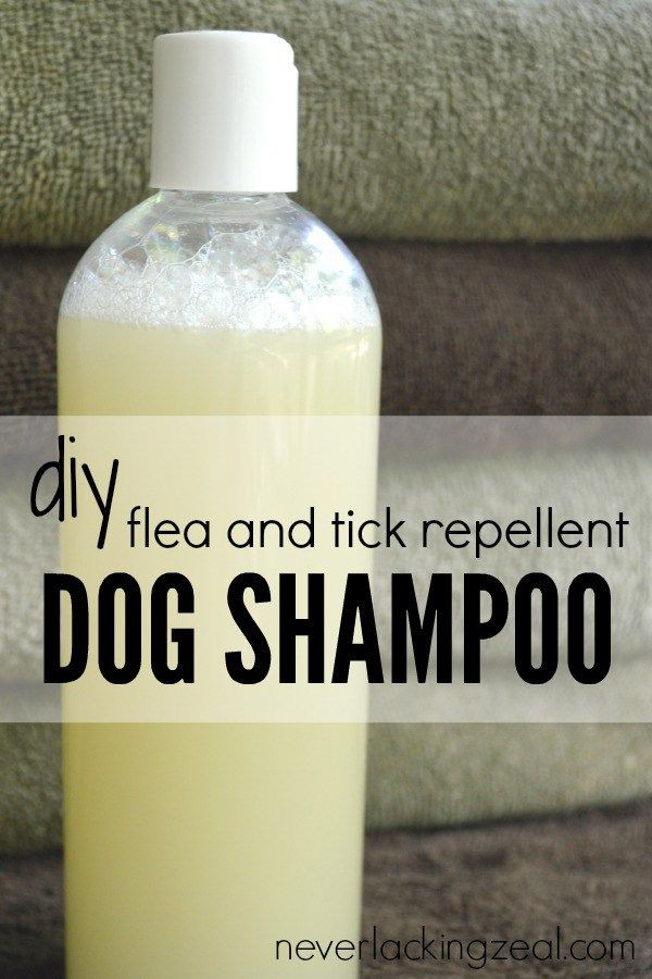 DIY Dog Spray
 DIY Flea and tick repellent dog shampoo are you a DIYer