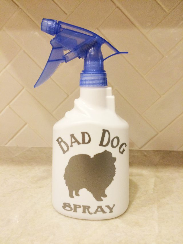 DIY Dog Spray
 DIY “Bad Dog Spray” Bottle – Remodelicious