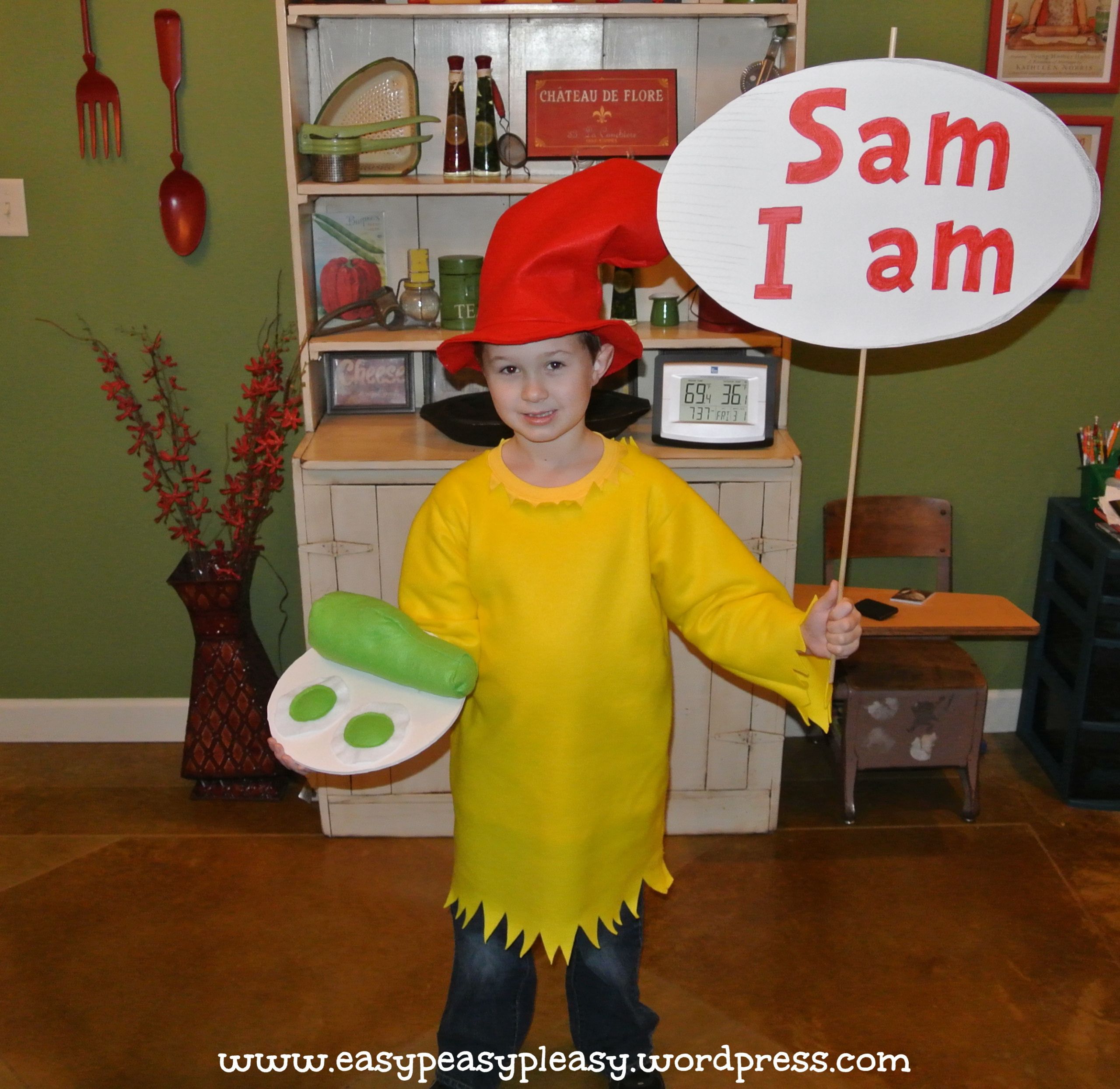 DIY Dr Seuss Costumes
 All Things Dr Seuss Sam I am Costume Easy Peasy Pleasy