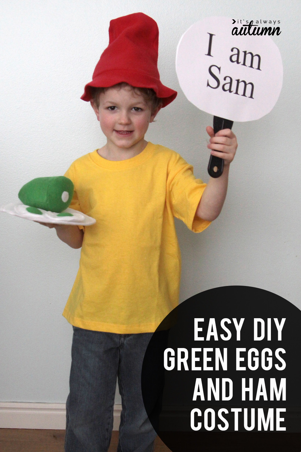 DIY Dr Seuss Costumes
 Easy DIY Green Eggs and Ham costumes for Dr Suess day