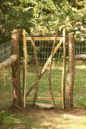 DIY Fencing For Dogs
 1000 images about Fence Fencing ideas on Pinterest