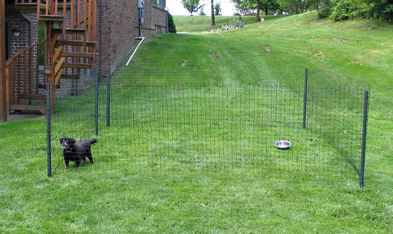 DIY Fencing For Dogs
 How Much Does A Wireless Dog Fence Cost