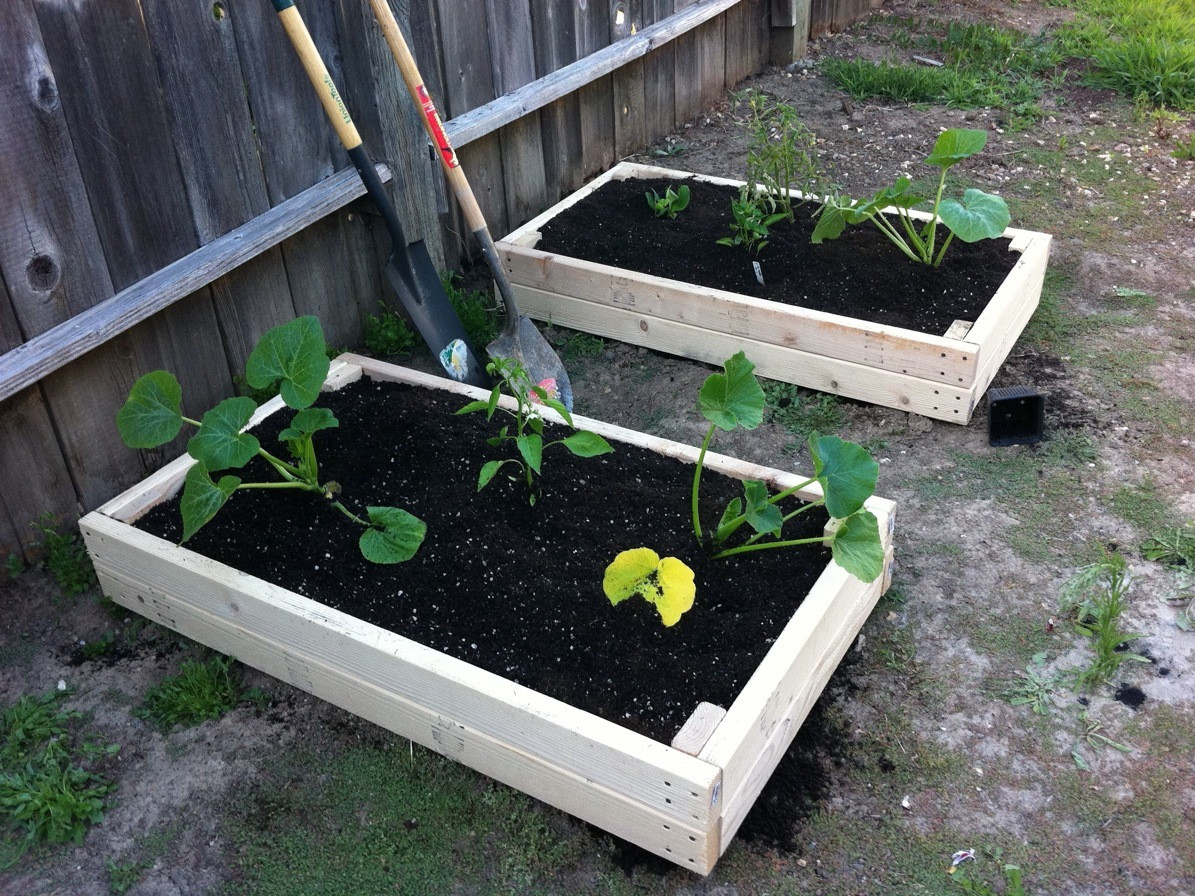 DIY Garden Planter Boxes
 2x4 Planter Boxes