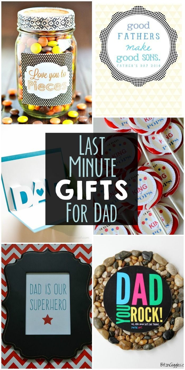 DIY Gift Ideas For Dads
 100 DIY Father s Day Gifts