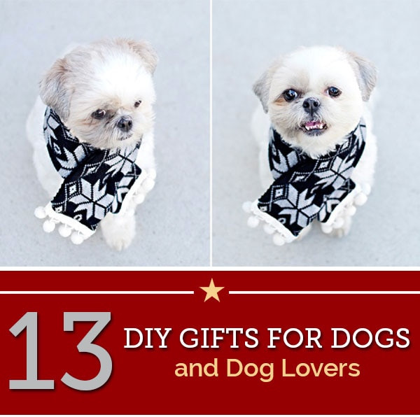 DIY Gifts For Dog Lovers
 13 DIY Gifts for Dogs and Dog Lovers thegoodstuff