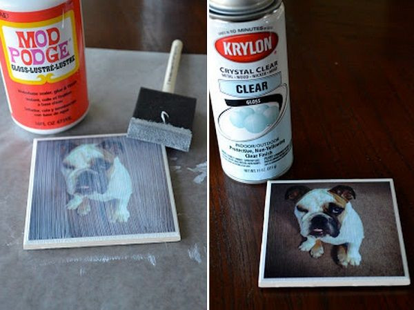DIY Gifts For Dog Lovers
 13 DIY Gifts for Dogs and Dog Lovers