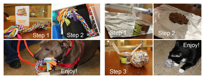 DIY Gifts For Dog Lovers
 ASPCA Gift Ideas for Furry Friends and Furry Friend
