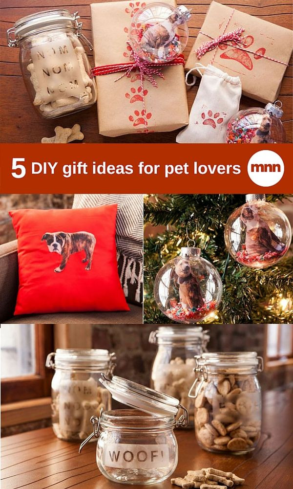 DIY Gifts For Dog Lovers
 5 DIY t ideas for pet lovers