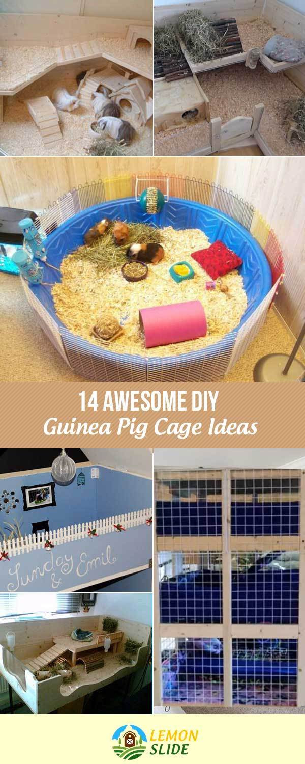 DIY Guinea Pig Cage Plans
 13 Awesome DIY Guinea Pig Cage Ideas Your Pet Love