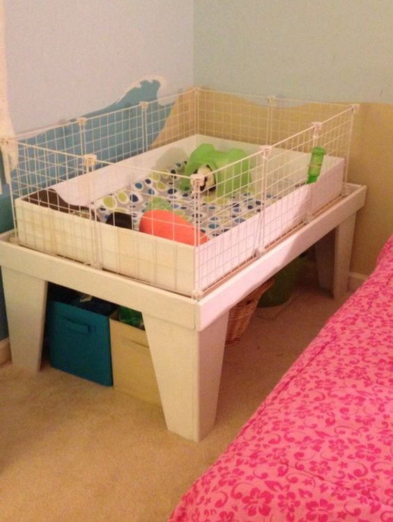 DIY Guinea Pig Cage Plans
 Awesome Ideas for Guinea Pig Hutch and Cages