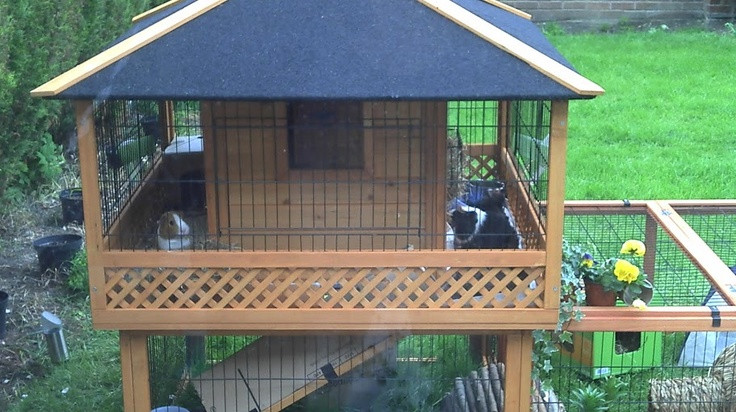 DIY Guinea Pig Cage Plans
 Diy Outdoor Guinea Pig Hutch Home Romantic