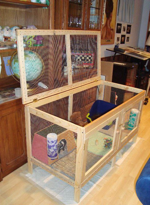 25 Ideas for Diy Guinea Pig Cage Plans – Home, Family, Style and Art Ideas
