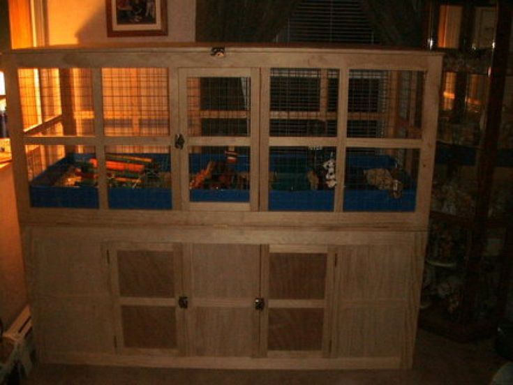 DIY Guinea Pig Cage Plans
 13 best Iguana Cage Build Plans images on Pinterest