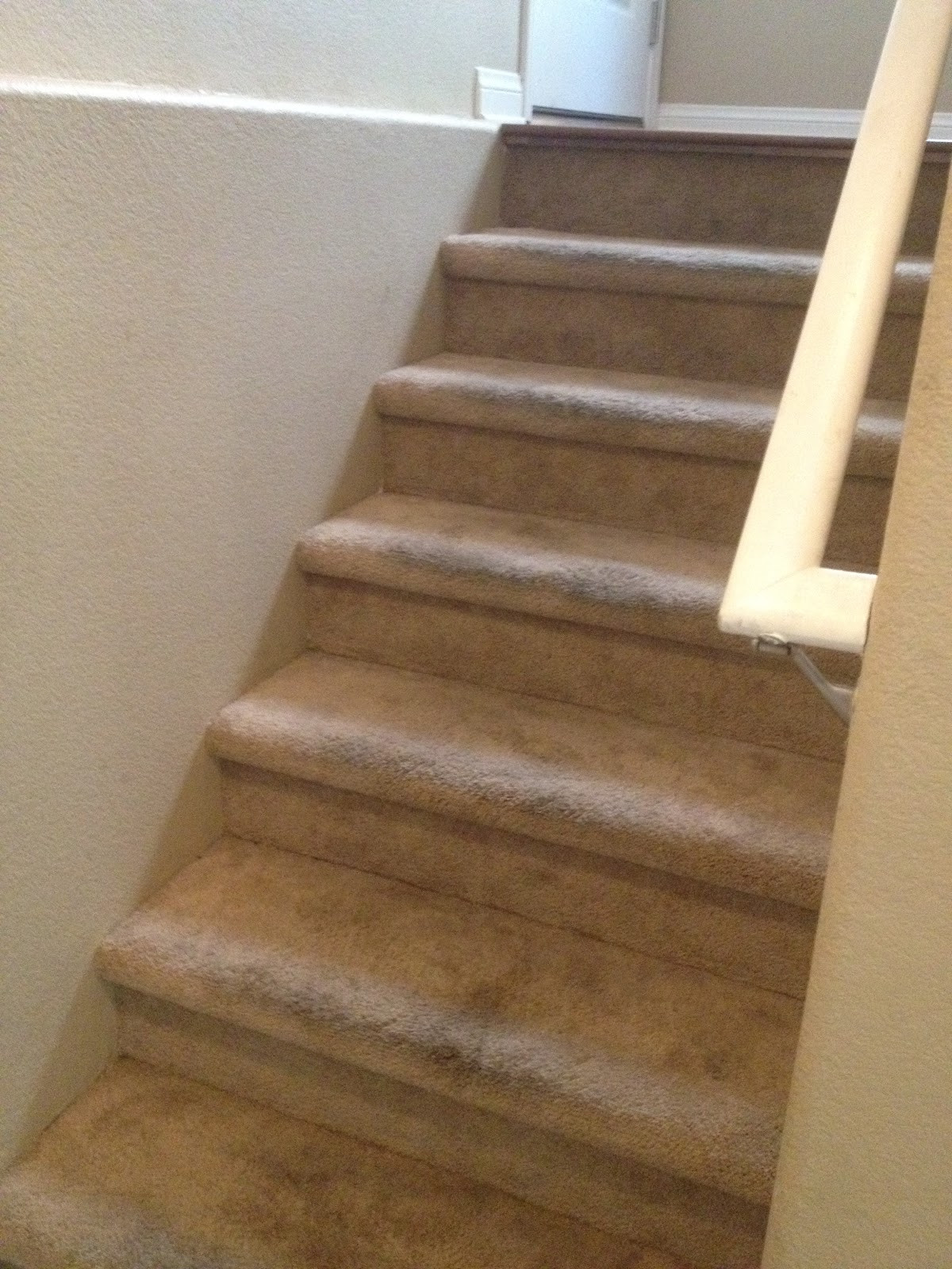DIY Hardwood Staircase
 Choosing Contentment Inexpensive DIY Carpet to Wood Stairs