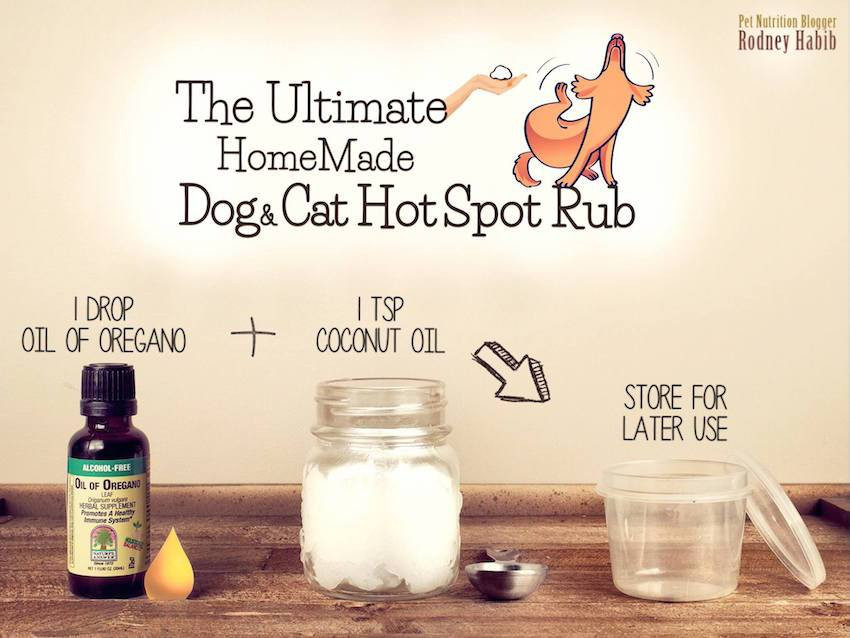 DIY Hot Spot Treatment For Dogs
 21 Creative Ways To Use Coconut Oil for Dogs