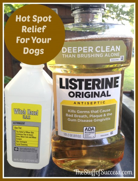 DIY Hot Spot Treatment For Dogs
 Hot Spot Relief For Your Dogs Relief for Their Suffering