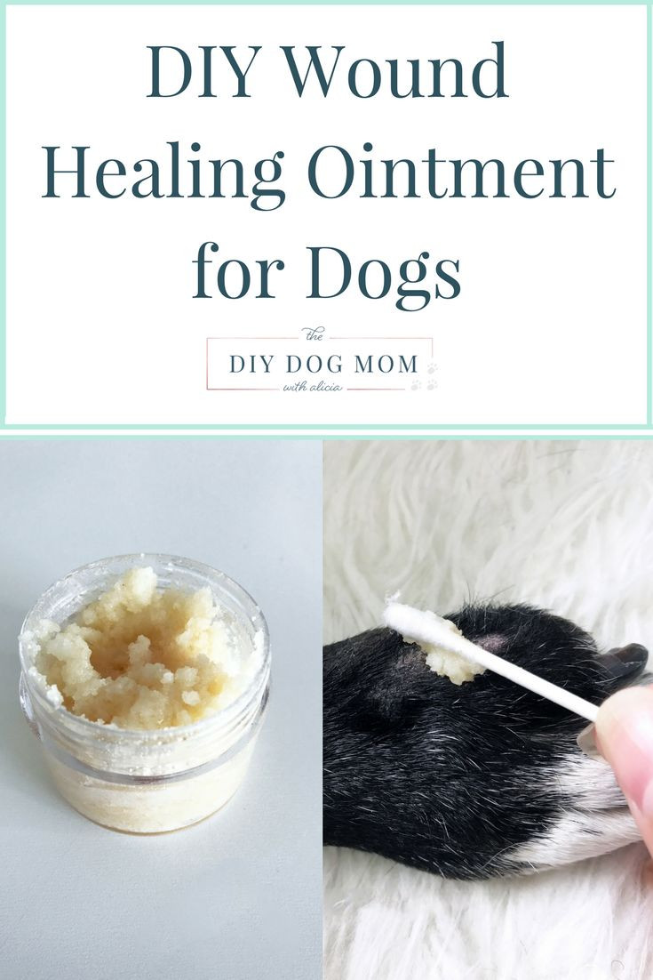 DIY Hot Spot Treatment For Dogs
 The 25 best Ointment for burns ideas on Pinterest