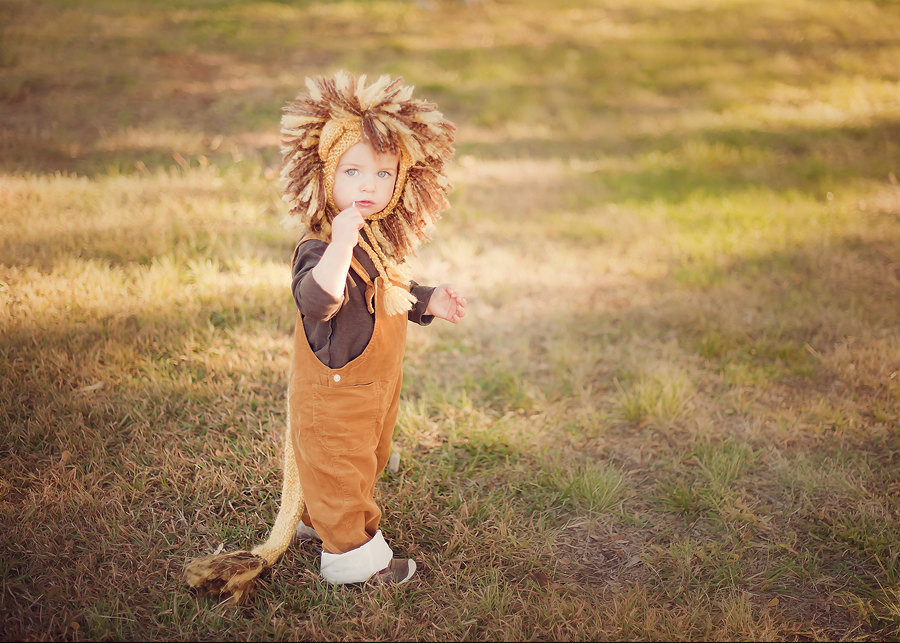 DIY Kids Lion Costume
 Lion Costume Baby Lion CostumeLion CostumeBaby