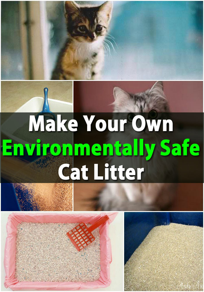 DIY Kitty Litter
 Huge Money Saver Make Your Own Environmentally Safe Cat