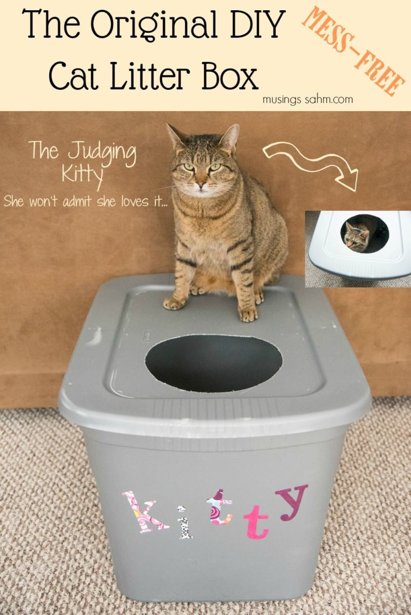 DIY Kitty Litter
 The Original DIY Mess Free Cat Litter Box Living Well Mom