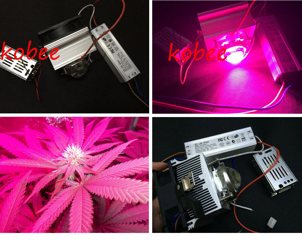 DIY Led Grow Light Kit
 Diy Led grow light kit 50W 660nm&445nm grow light for