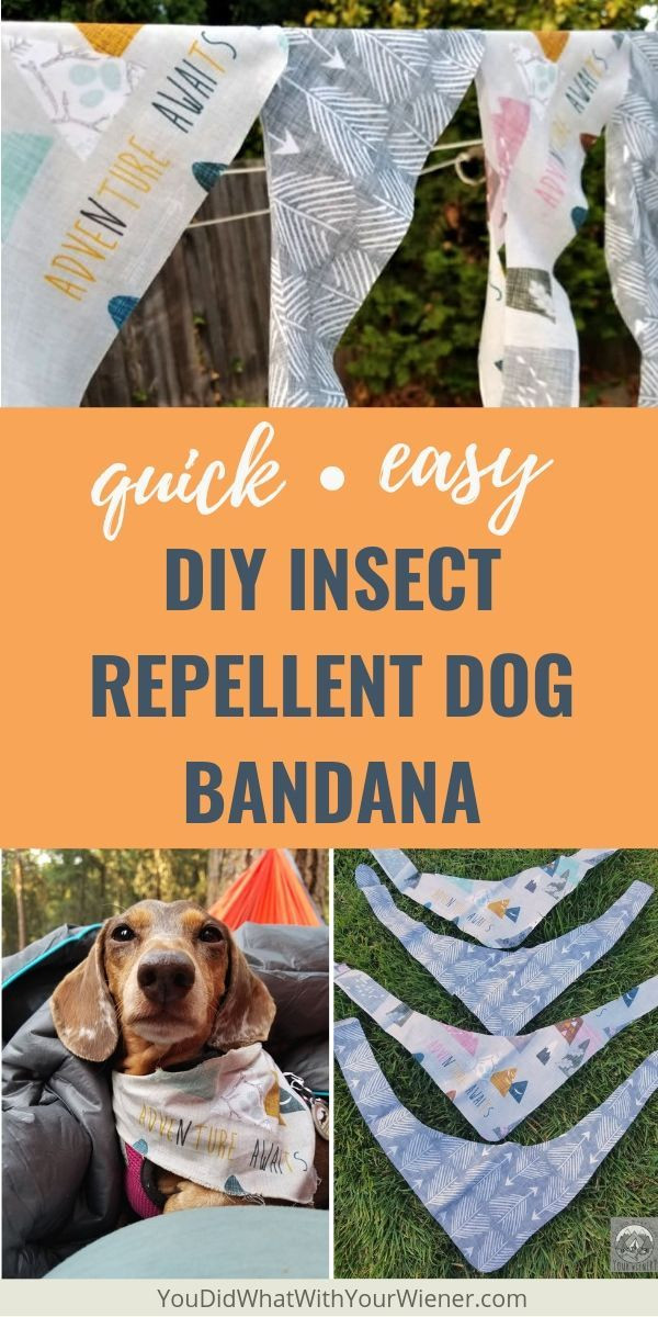 DIY Mosquito Repellent For Dogs
 Easy DIY Insect Repellent Dog Bandana Pet DIYs