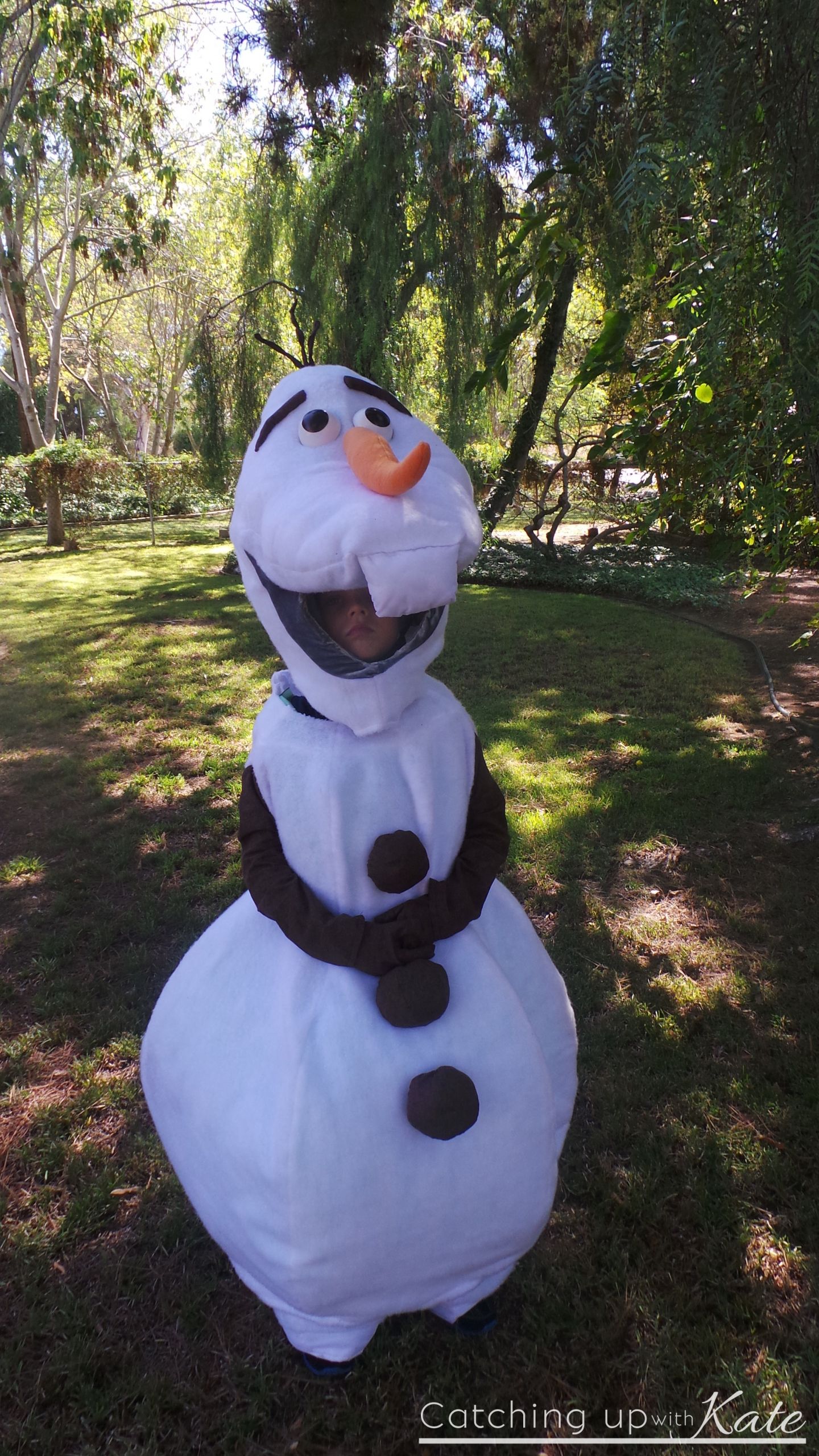 DIY Olaf Costume For Adults
 DIY Olaf Costume for Halloween
