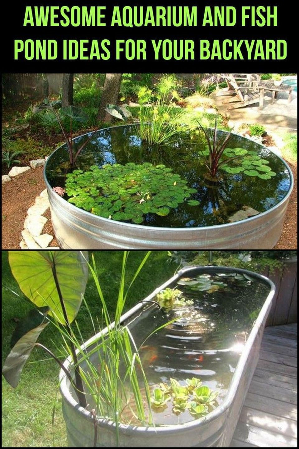 DIY Outdoor Aquarium
 DIY Indoor Aquaponics Fish Tank Ideas 30
