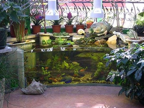DIY Outdoor Aquarium
 Outdoor aquarium Backyard ideas