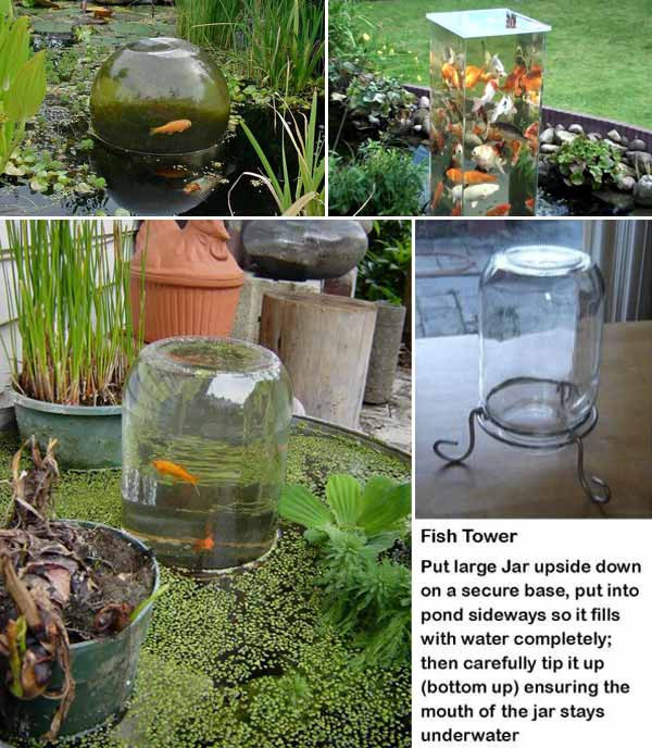 DIY Outdoor Aquarium
 22 Small Garden or Backyard Aquarium Ideas Will Blow Your Mind